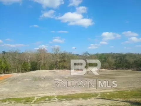 218 Gumball Ln, Coffeeville, AL 36524