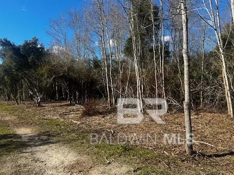 0 Bellingrath Rd, Theodore, AL 36582