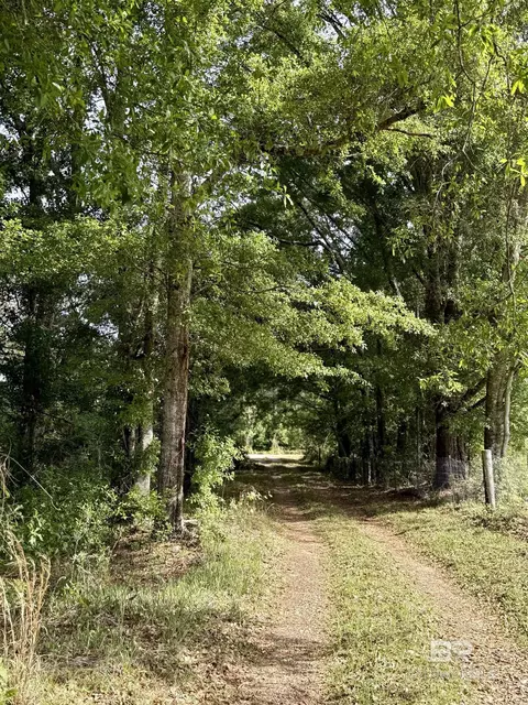 19160 County Road 68, Robertsdale, AL 36567