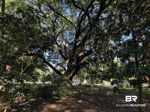1909 Brill Rd, Mobile, AL 36605 photo 13