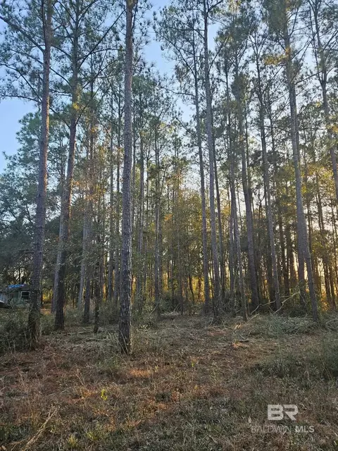0 Gardner Rd, Elberta, AL 36530 photo 2