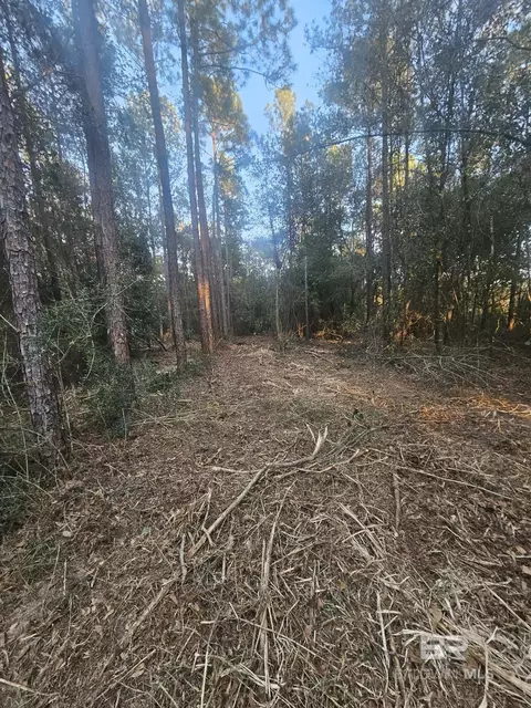 0 Gardner Rd, Elberta, AL 36530 photo 6