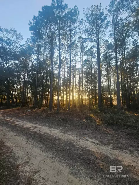 0 Gardner Rd, Elberta, AL 36530 photo 4
