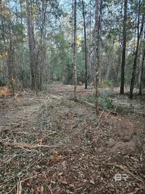 0 Gardner Rd, Elberta, AL 36530 photo 3