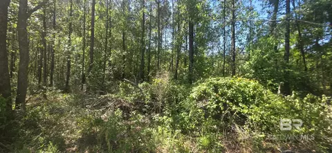 0 Gardner Rd, Elberta, AL 36530 photo 9