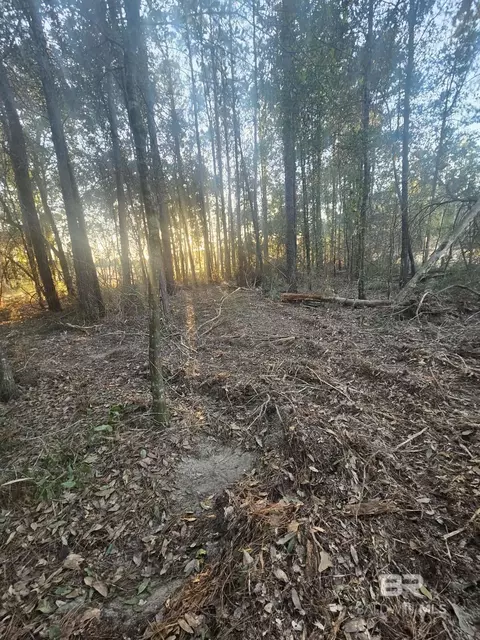0 Gardner Rd, Elberta, AL 36530 photo 7