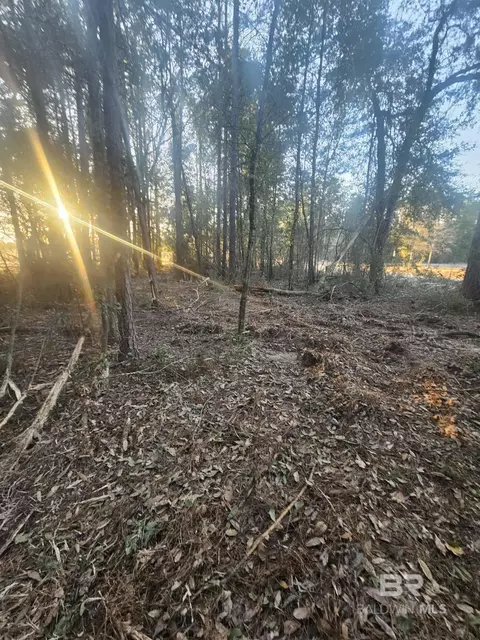 0 Gardner Rd, Elberta, AL 36530 photo 8