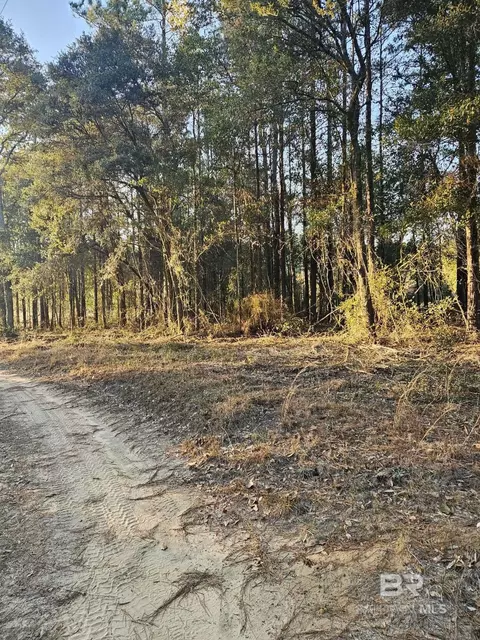 0 Gardner Rd, Elberta, AL 36530 photo 5