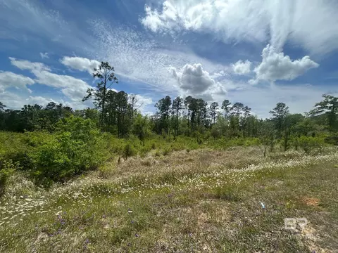 0 Hampton Rd, Mobile, AL 36608 photo 10