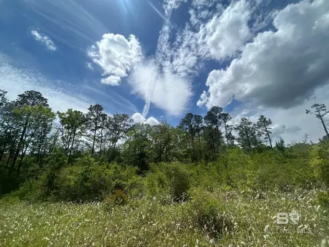 0 Hampton Rd, Mobile, AL 36608 photo 12
