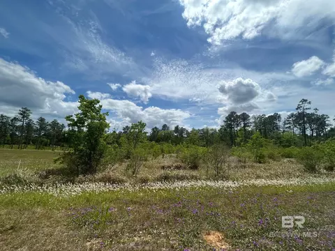 0 Hampton Rd, Mobile, AL 36608 photo 7