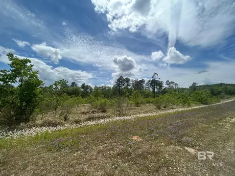 0 Hampton Rd, Mobile, AL 36608 photo 5
