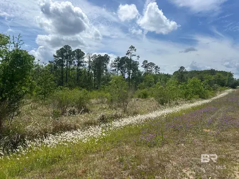 0 Hampton Rd, Mobile, AL 36608 photo 4