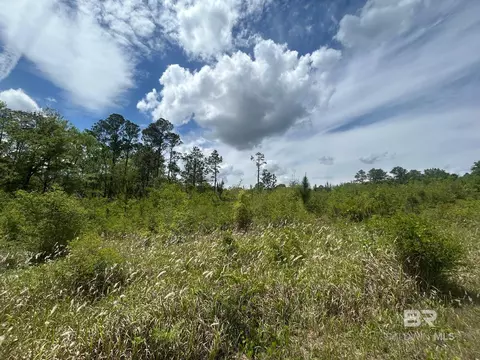 0 Hampton Rd, Mobile, AL 36608 photo 13