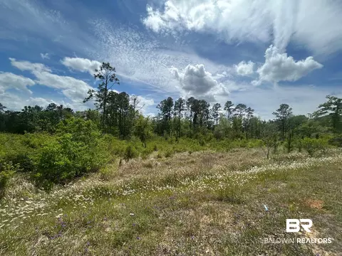 0 Hampton Rd, Mobile, AL 36608 photo 10