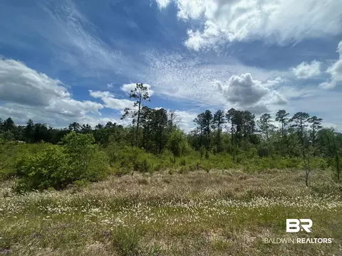 0 Hampton Rd, Mobile, AL 36608 photo 11