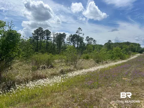 0 Hampton Rd, Mobile, AL 36608 photo 4