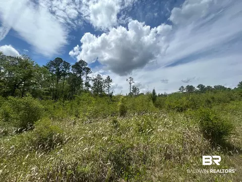 0 Hampton Rd, Mobile, AL 36608 photo 13