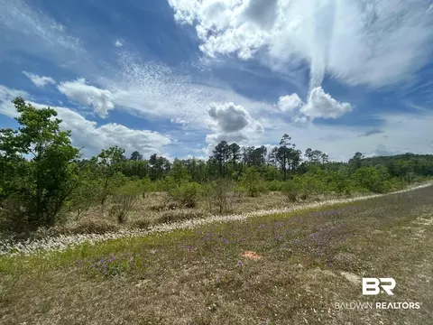 0 Hampton Rd, Mobile, AL 36608 photo 5