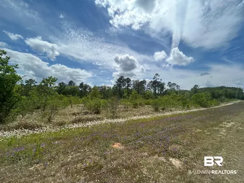 0 Hampton Rd, Mobile, AL 36608 photo 6