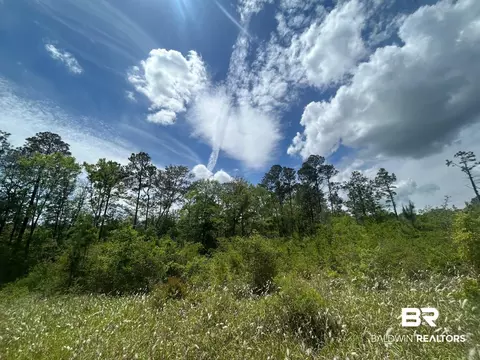 0 Hampton Rd, Mobile, AL 36608 photo 12