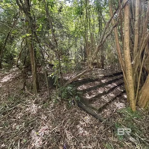 23587 Cowling Rd, Robertsdale, AL 36567