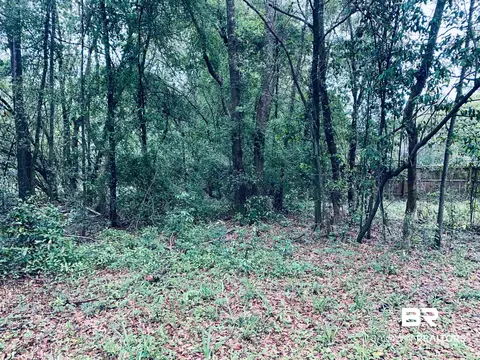 1510 Northview Dr, Mobile, AL 36618 photo 4