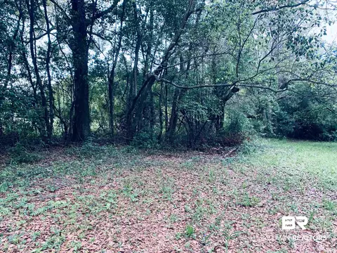 1510 Northview Dr, Mobile, AL 36618 photo 5