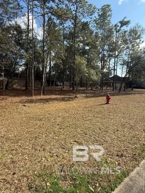 Bunker Loop, Fairhope, AL 36532 photo 2