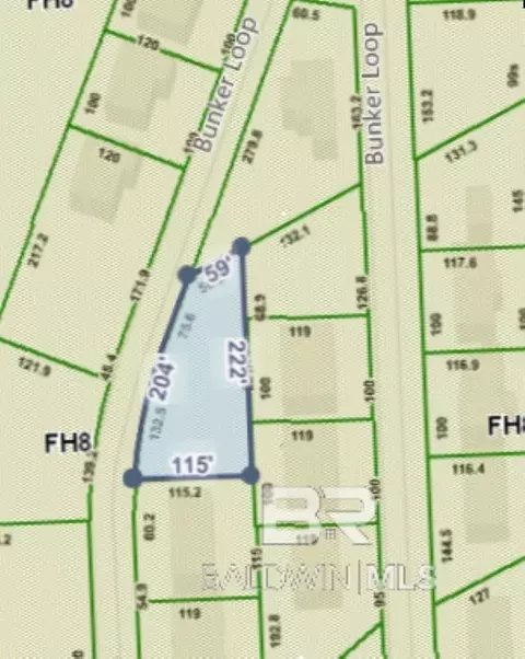 Bunker Loop, Fairhope, AL 36532 photo 5