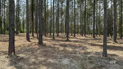 0 Ronald Sanks Rd, Bay Minette, AL 36507