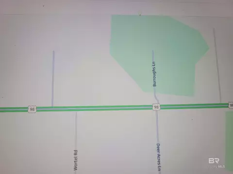 290 Us Highway 98, Elberta, AL 36530 photo 12