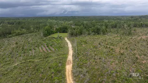 0 Phillips Rd, Stapleton, AL 36578 photo 12