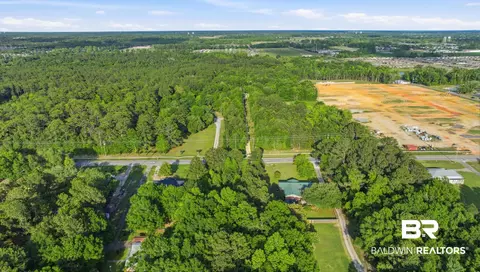 0 Pollard Rd, Daphne, AL 36526 photo 8