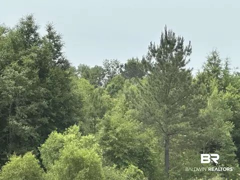 0 E County Road 54, Daphne, AL 36526 photo 2