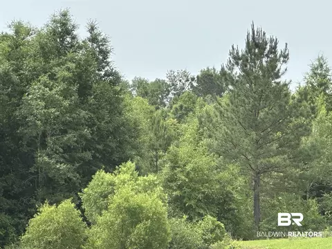 0 E County Road 54, Daphne, AL 36526 photo 1