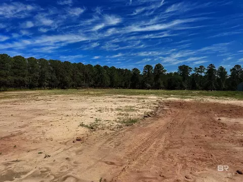 lot2 0 T Bridge Rd, Red Level, AL 36474