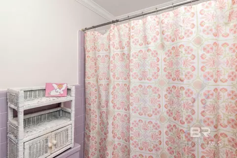 Bath - 559 Brawood Dr, Mobile, AL 36608 photo 3 of 4