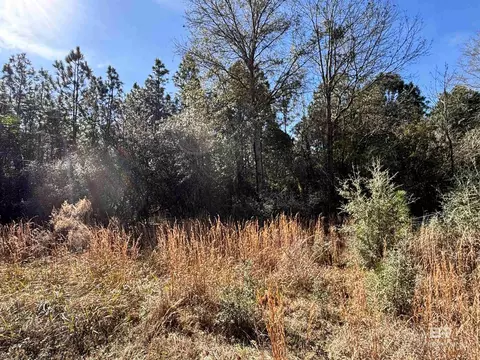 0 Barnhill Farm Rd, Loxley, AL 36551