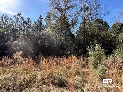 0 Barnhill Farm Rd, Loxley, AL 36551