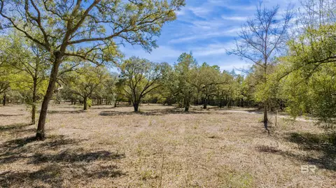 00 County Road 99, Lillian, AL 36549
