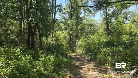 0 Toler Rd, Silverhill, AL 36576 photo 4