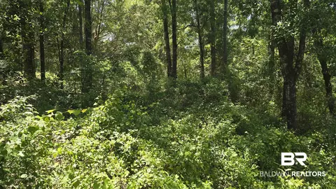 0 Toler Rd, Silverhill, AL 36576 photo 3