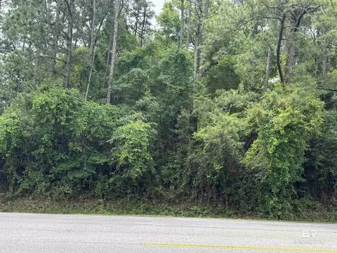 33716 Rosalia Ave, Lillian, AL 36549