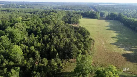 0 Joe Reeves Rd, Castleberry, AL 36432