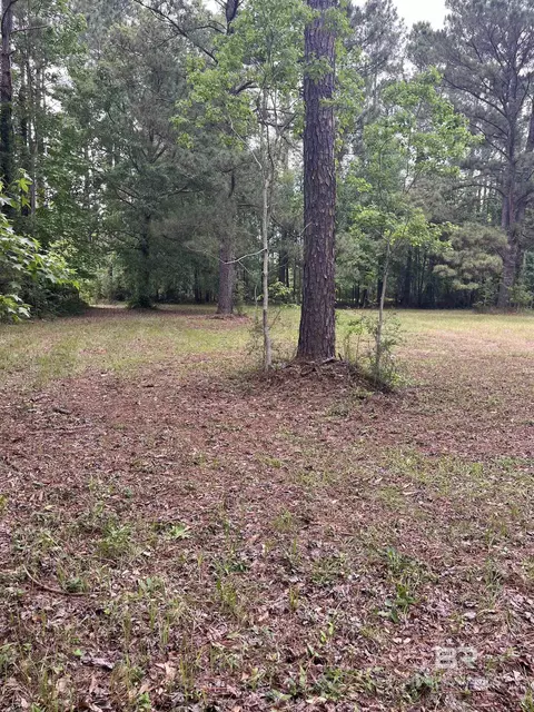 Ward Road, Stapleton, AL 36527 photo 6