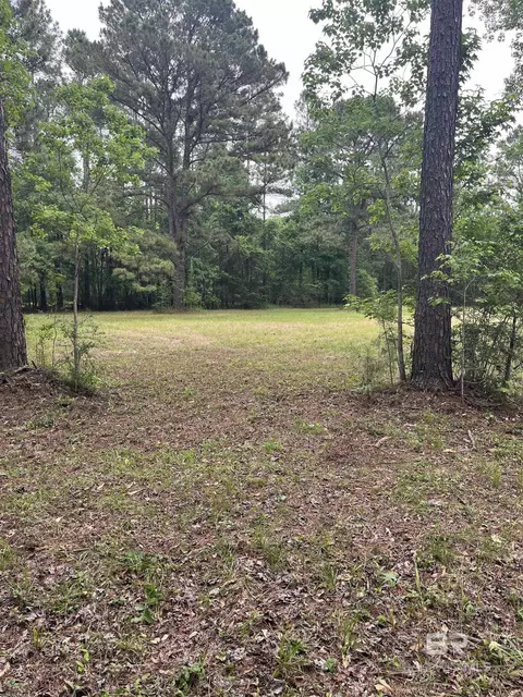 Ward Road, Stapleton, AL 36527 photo 7