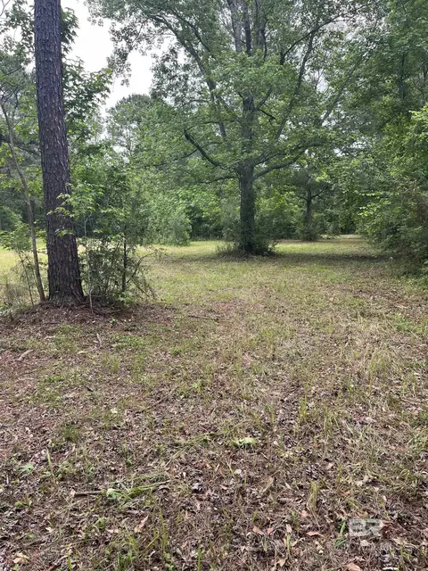 Ward Road, Stapleton, AL 36527 photo 4