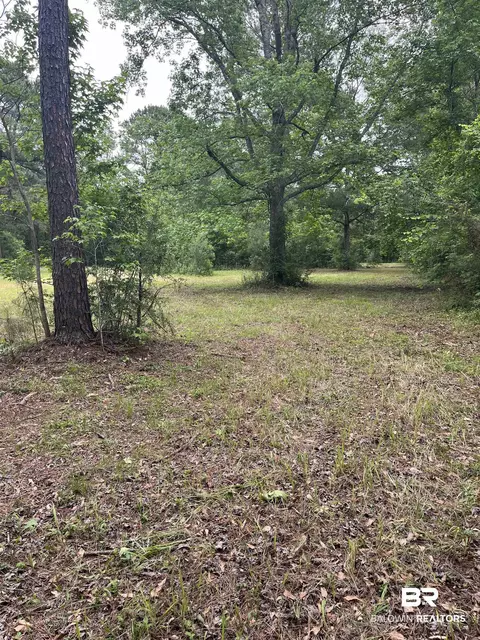 Ward Road, Stapleton, AL 36527 photo 4