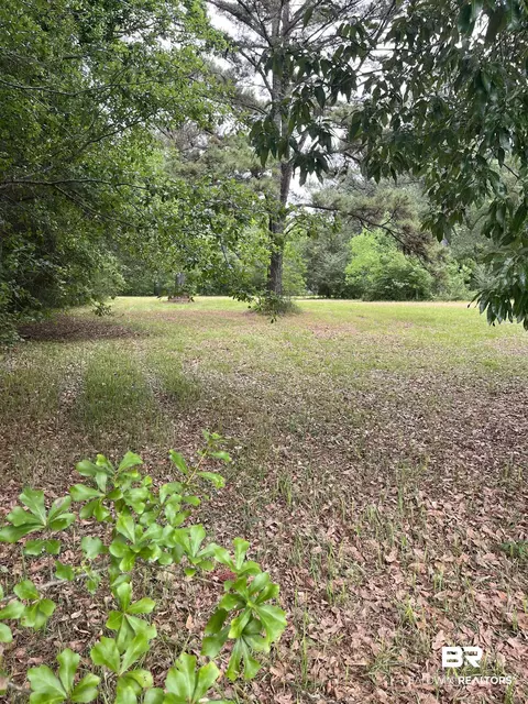 Ward Road, Stapleton, AL 36527 photo 8